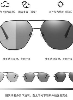 金属双梁铝镁墨镜男士大框眼镜