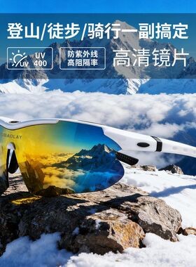 成年人专用品质骑行眼镜装备偏光