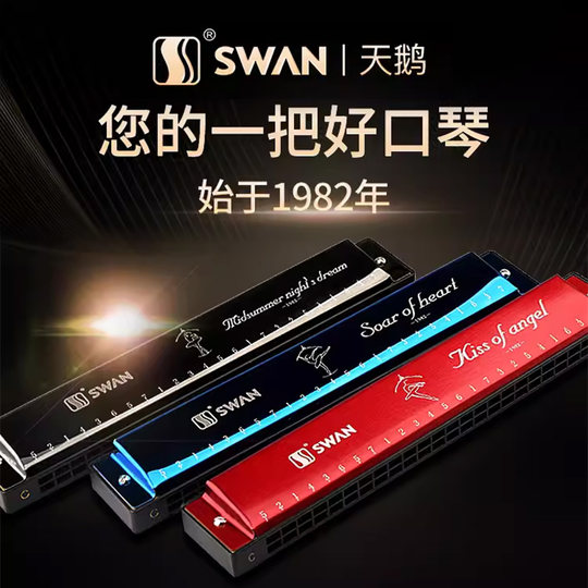 天鹅口琴24孔28孔初学者入门小学生专用儿童复音重C调成人业正品