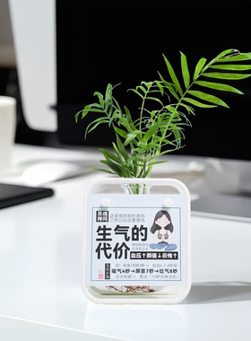 莫生气工位稳定情绪神器带绿植