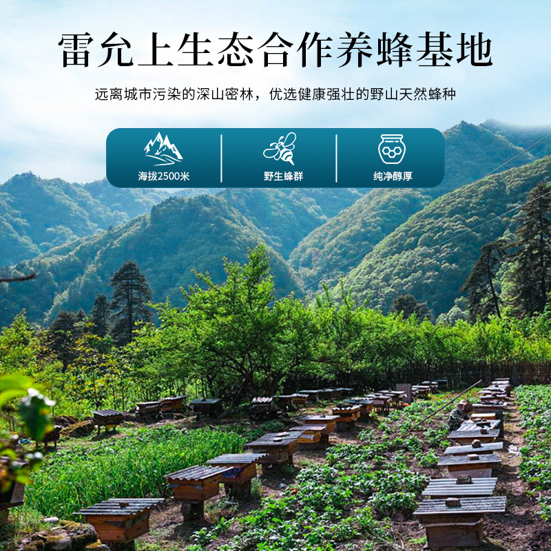 雷允上纯正天然土蜂蜜500克礼盒 雷允上蜂蜜