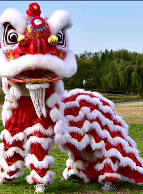 泡沫南狮羊毛狮头双人舞狮全套