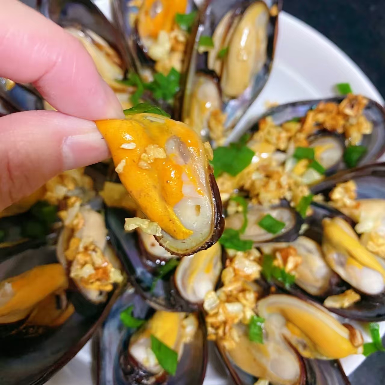 Fresh frozen seafood, mussels, mussels, cat and dog food