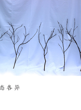 原木干树枝DIY手工干枝干枯树枝造型树枝花艺干树枝造景禅意软装