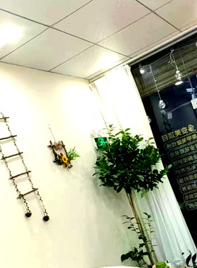 厂家直销健康环保创意饰品