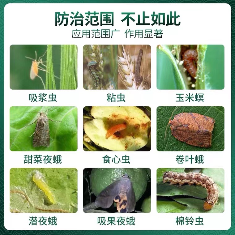 H核桃树专用杀虫剂杀百虫洋辣子毛毛虫钻心虫大青虫杀虫杀卵农药 - 图2