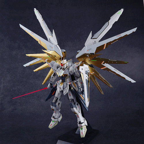万代 MG 1/100  Freedom Gundam 2.0 自由高达 拼装模型 改色喷涂 - 图1