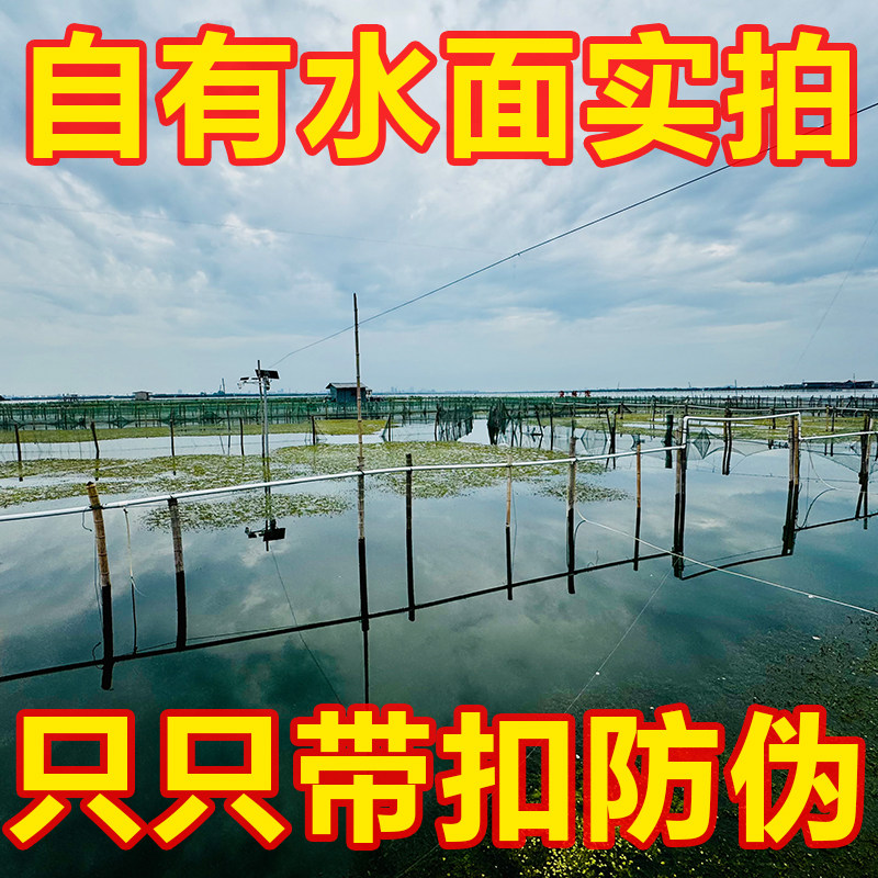 [活蟹]现货阳澄大闸蟹鲜活特大公蟹母蟹鲜活湖蟹10只/8只年货礼盒,淘宝优惠券,粉丝福利购,淘宝优惠卷