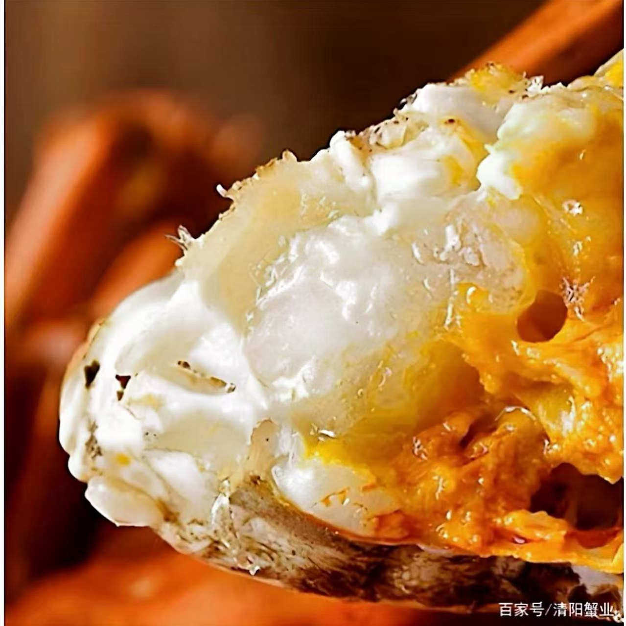 [现货]鲜活特6两大公蟹阳澄大闸蟹苏州特产湖蟹螃蟹年货大蟹礼盒,淘宝优惠券,粉丝福利购,淘宝优惠卷