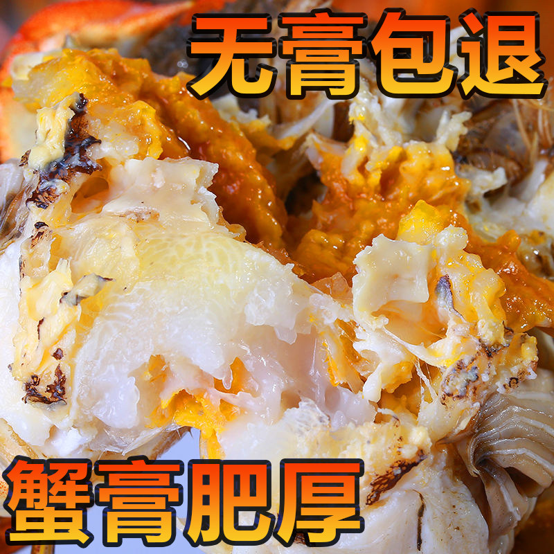 [活蟹]现货阳澄大闸蟹鲜活特大公蟹母蟹鲜活湖蟹10只/8只年货礼盒,淘宝优惠券,粉丝福利购,淘宝优惠卷