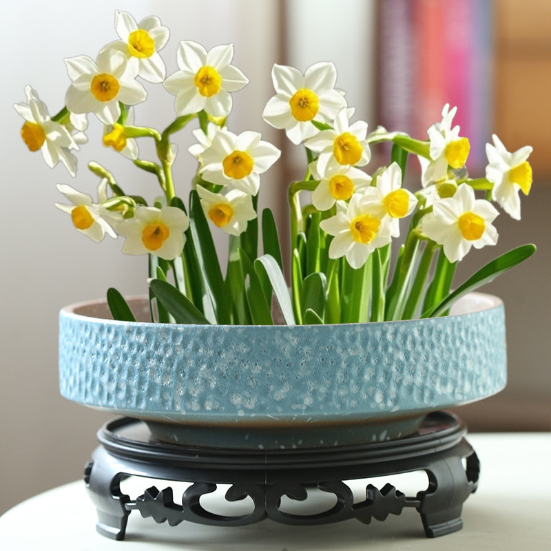 大口径水仙花盆陶瓷大号家用无孔铜钱草专用水培一叶莲碗莲带底座,淘宝优惠券,粉丝福利购,淘宝优惠卷