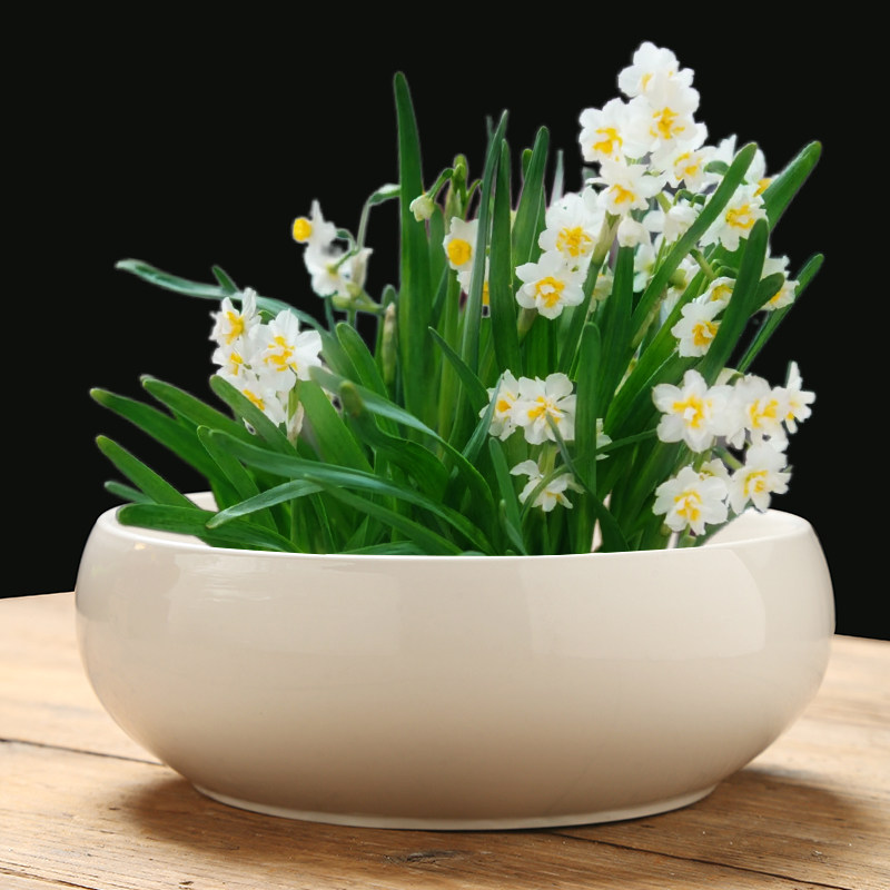 创意铜钱草绿萝水培花瓶陶瓷水仙花盆容器家用室内插花器水培器皿,淘宝优惠券,粉丝福利购,淘宝优惠卷