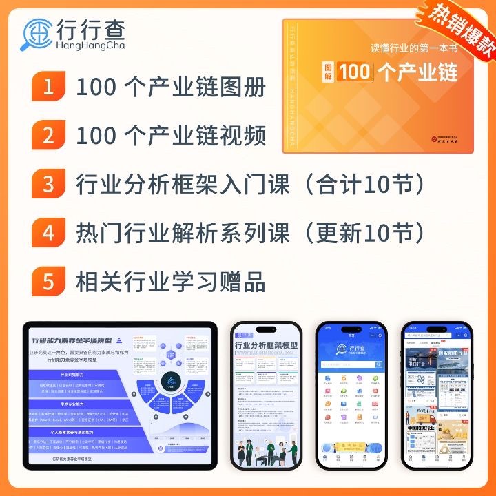 行行查读懂行业的第一本书图解中国100个行业全产业链图册行业研究数据分析报告书籍经济学商业分析全攻略商业会员课程市场调查 - 图0
