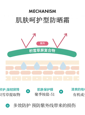 清爽水润的纯素舒缓防晒霜