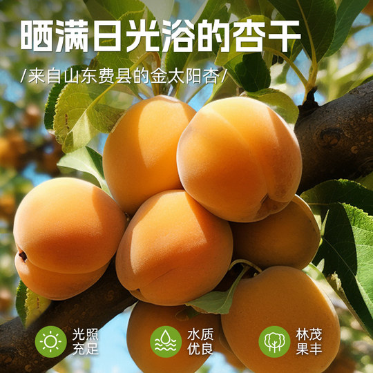 【蜜蜂惊喜社】华味亨 阳光金杏干88g/袋 酸甜果干独立小包装