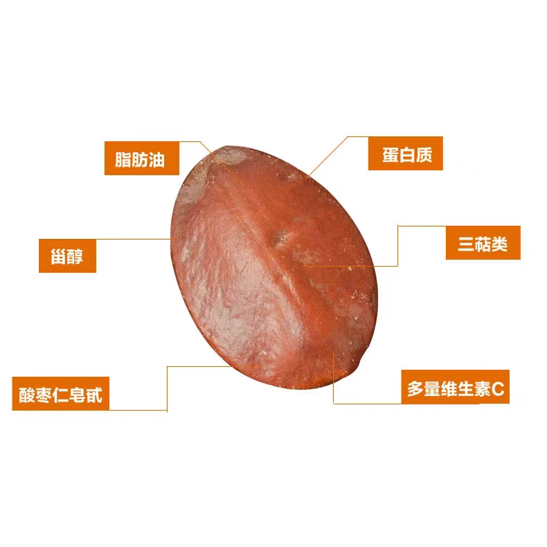 2025年11月 河北赞皇县 国产野生炒酸枣仁 生酸枣仁 中药材 - 图1