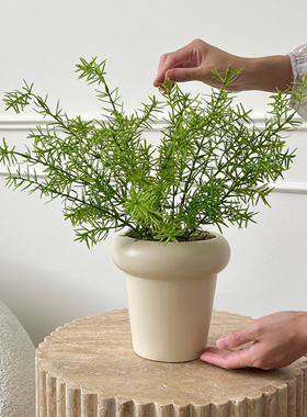 ladylike仿真绿植蕨类盆栽植物北欧室内客厅桌面假花装饰盆景摆件
