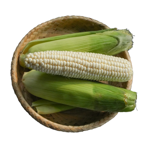 无双不二北海道牛奶玉米水果玉米爆浆即食甜玉米非转基因新鲜现摘 - 图3