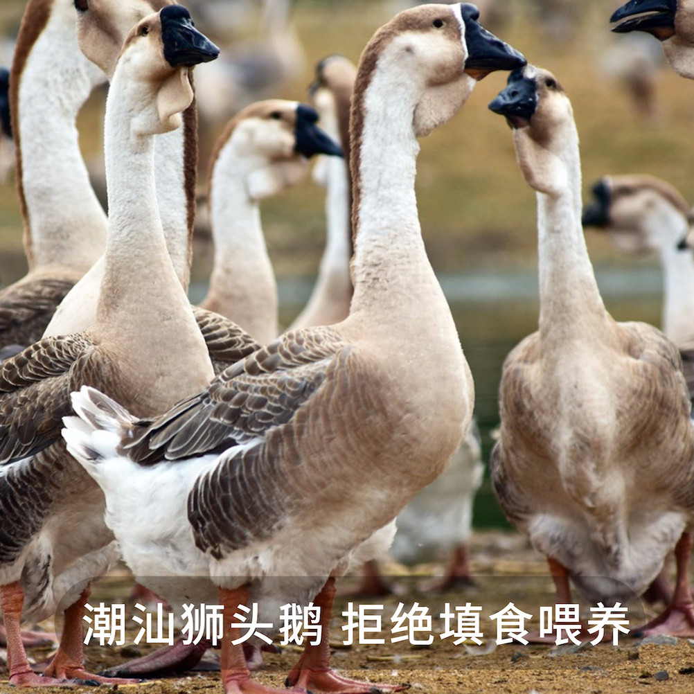 无双不二潮汕卤鹅肝卤水鹅肝加热即食卤味新鲜粉肝熟食广东特产,淘宝优惠券,粉丝福利购,淘宝优惠卷