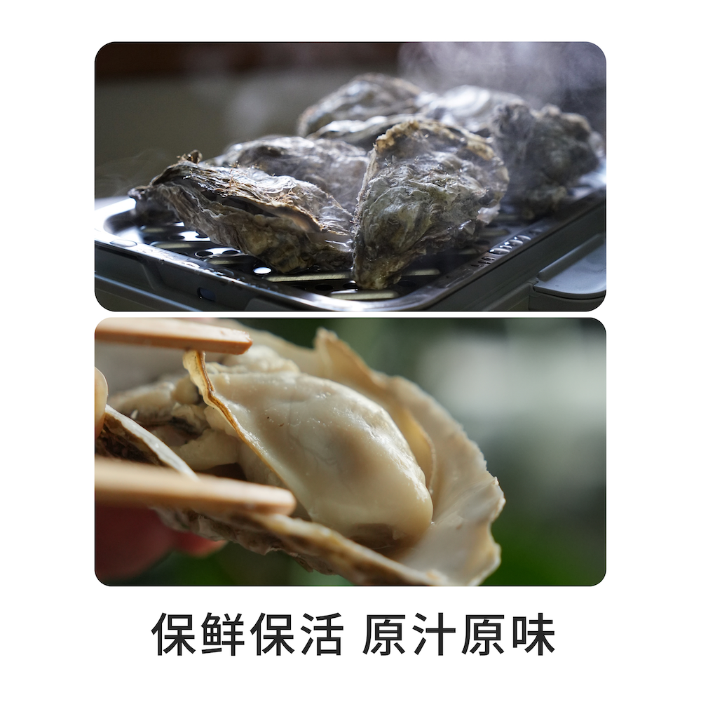 无双不二半岛小肥蚝生蚝乳山正宗鲜活牡蛎海蛎子特大蚝肉海鲜水产,淘宝优惠券,粉丝福利购,淘宝优惠卷