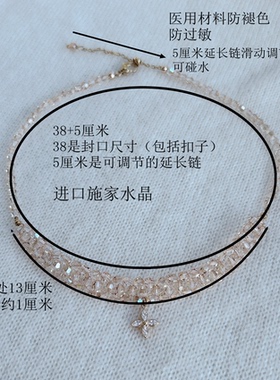 新品施家水晶遮甲状腺术后疤痕项链女锁骨隐形低调简约原创设计赞
