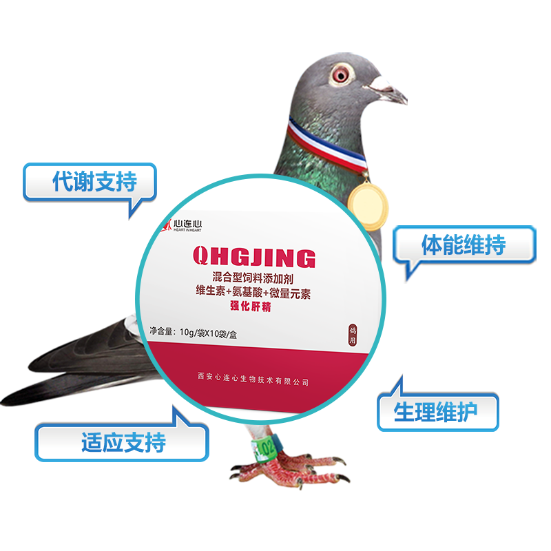 心连心鹦鹉药鸽药鸟肝精信鸽赛鸽鸽用养柑护柑心连心强化肝精粉剂
