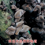 Dashan Black Fringus Sichuan Qingchuan Tochigi Little Black Frangus Specialty Dry Goods 200g