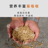 Надежда бренд для ягненка. Материал. Небольшой ягненка Альпака Перегадка и отколо