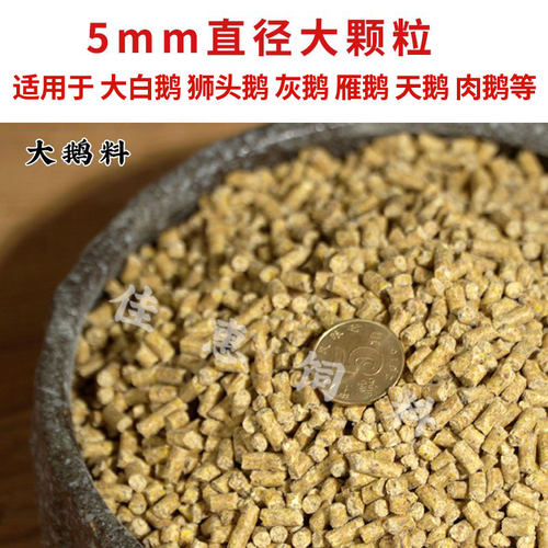 鹅饲料专用小鹅雏鹅幼鹅狮头鹅中大鹅颗粒鹅苗养殖希望蛋宝宇宙 - 图2