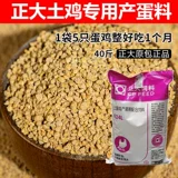 [Онлайн -лимит] Zhengda 524L Native Куриный корм для яйца. Яйцо -яйцо.