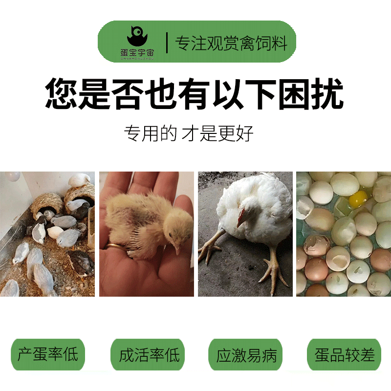 芦丁鸡专用电解多维鸟用蛋鸡小鸡饲料添加剂电解质多种维生素150g,淘宝优惠券,粉丝福利购,淘宝优惠卷