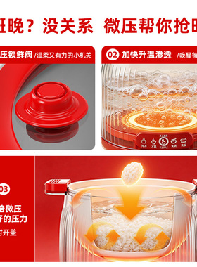 罗娅微压电饭煲1-3人煲汤火锅
