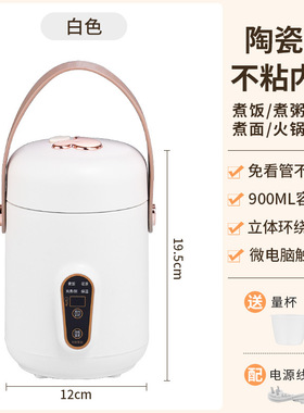 便携电炖杯900ml预约保温煮饭