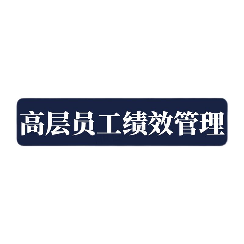 高层管理员工绩效方案考核指标责任业绩完成率股权激励年薪考核制 - 图3