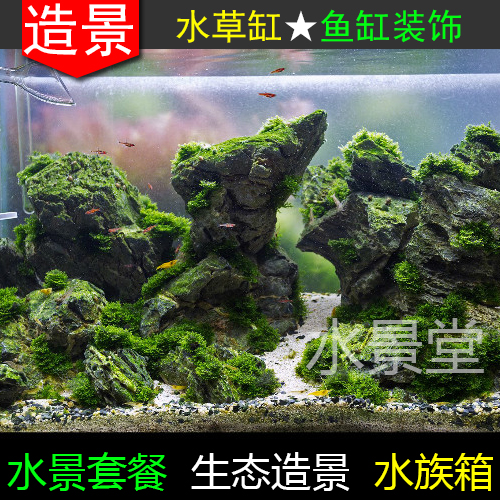 青龙石造景套餐水缸造景装饰鱼缸山石石水缸水族鱼缸造景 - 图0