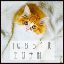 Come to chart custom original personality diy pattern sloth shoes Shoes Loose canvas mens shoes Shoes Hand-painted Shoes freight Link