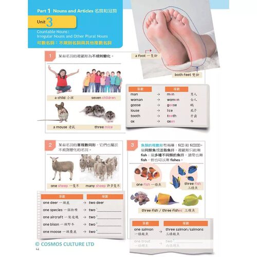 现货  Alex Rath Ph.D.《Let’s See Grammar：彩图初*英文文法【Basic 1】（三版）（菊8K+解答别册）》寂天 - 图2