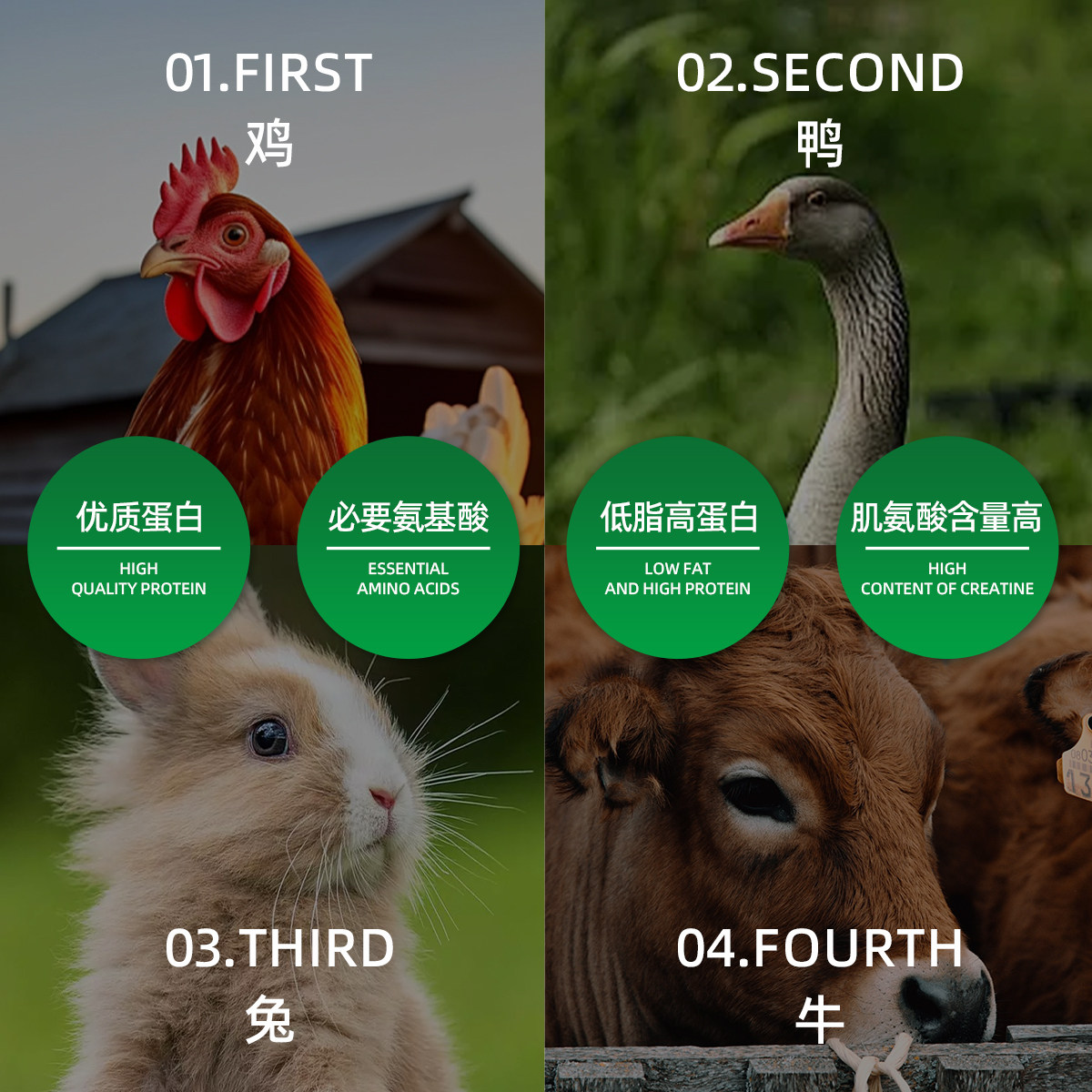 迪迪妈狗狗零食鸡肉鸭肉牛肉兔肉干小型犬磨牙解馋训犬奖励狗零食,淘宝优惠券,粉丝福利购,淘宝优惠卷