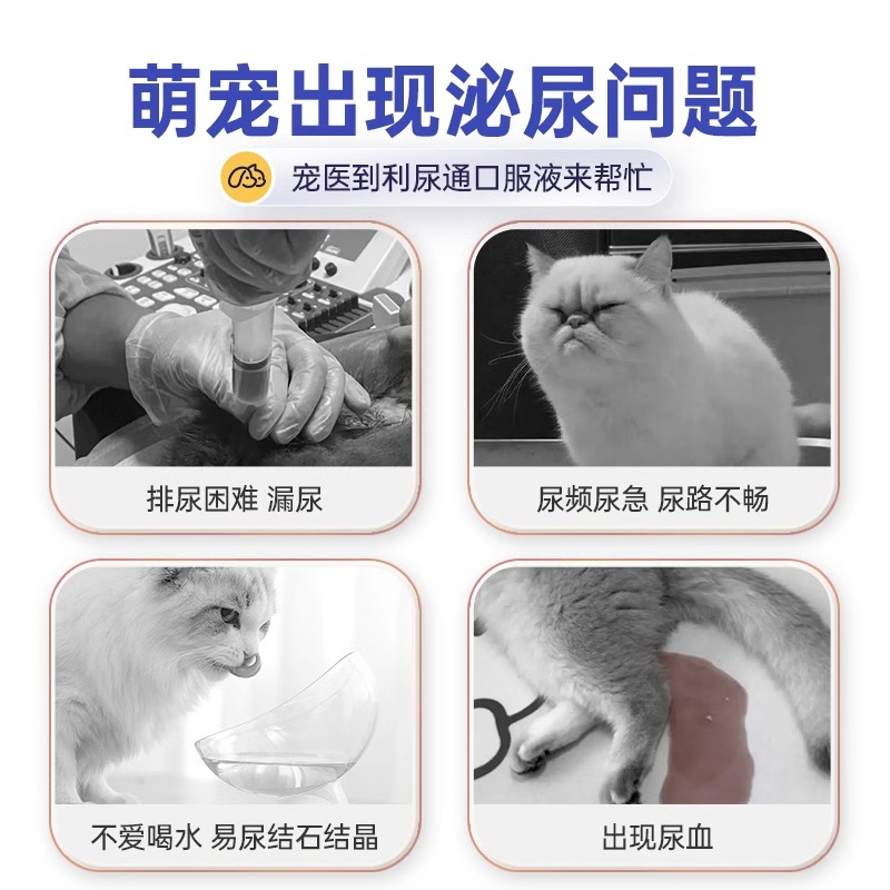 宠医到猫咪利尿通猫尿闭尿血尿频结石排石消炎宠物狗狗泌尿系统药