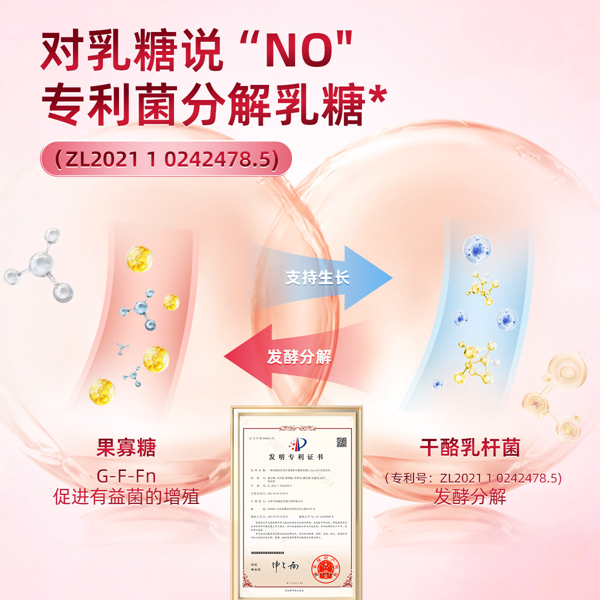 迪迪妈2月龄猫咪磨牙棒狗狗羊奶冻干棒幼猫零食磨牙小零食猫冻干,淘宝优惠券,粉丝福利购,淘宝优惠卷