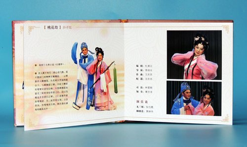 正版潮剧CD片凤舞凰鸣张怡凰潮剧折子戏专场潮剧折子戏2碟CD光盘 - 图3