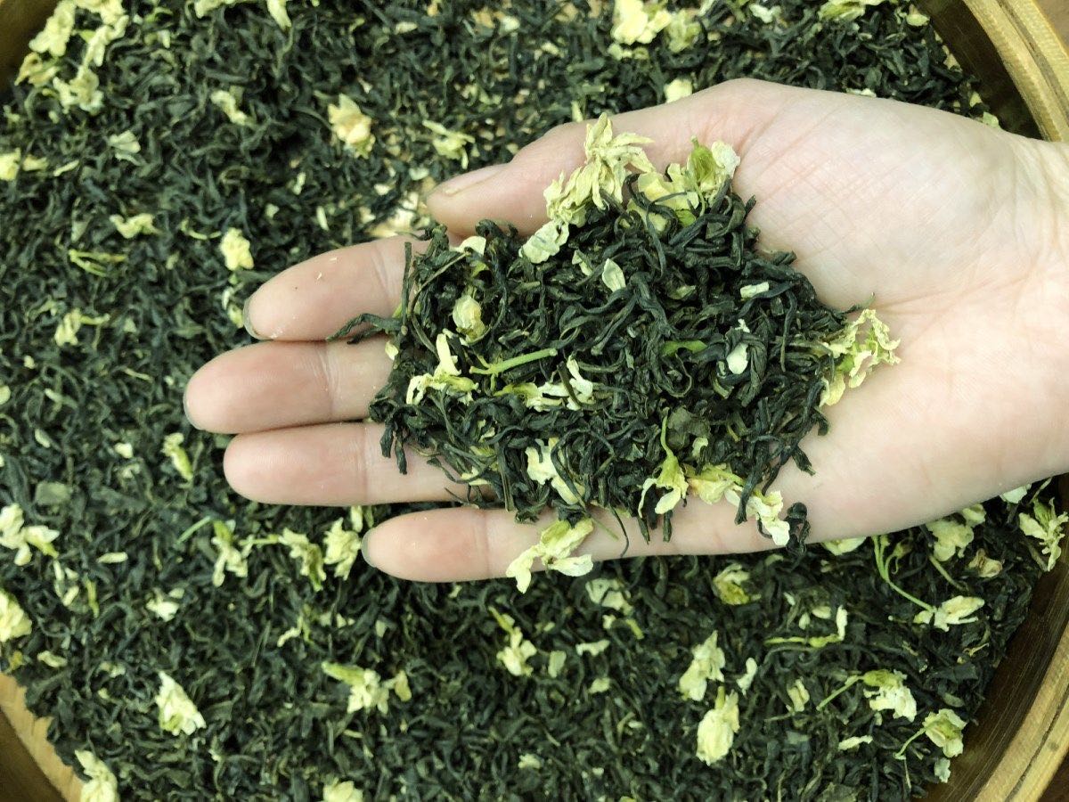 （发两斤）2024年茉莉花茶浓香型茶叶新花茶共1000克袋装绿茶250g-图0