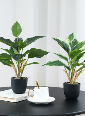 LxHouse仿真绿植室内造景道具