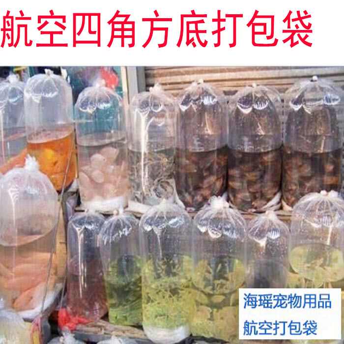第六章纸包装容器结构设计 包装容器结构设计 冯梅天津商学院包装工程系天津商学院包装工程系 Ppt Download