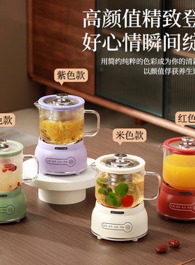 全玻璃养生壶办公室小型花茶壶一人煮茶壶电炖杯迷你多功能养生杯