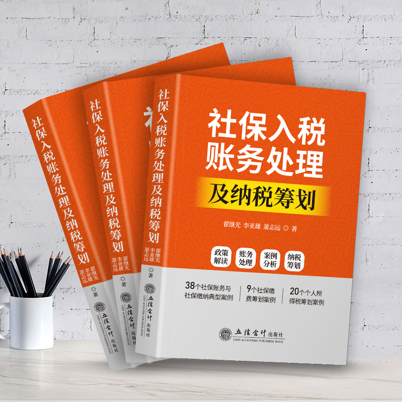 2021年新版 社保入税账务处理及纳税筹划 政策解读财务处理案例分析纳税筹划 管理会计 - 图2