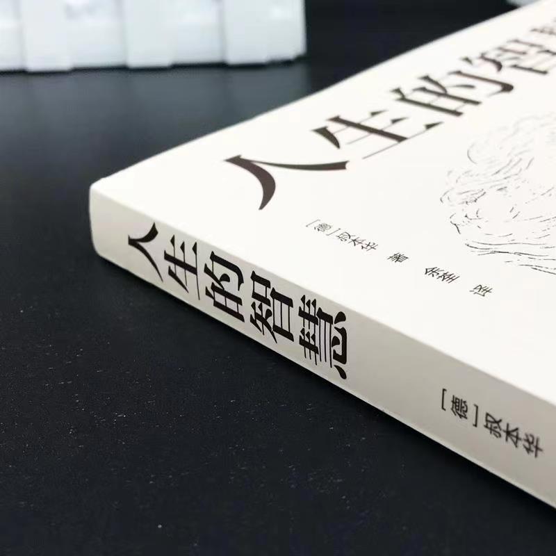 正版速发！人生的智慧正版全译本叔本华的人生哲理心灵鸡汤书哲学励志书籍-图1