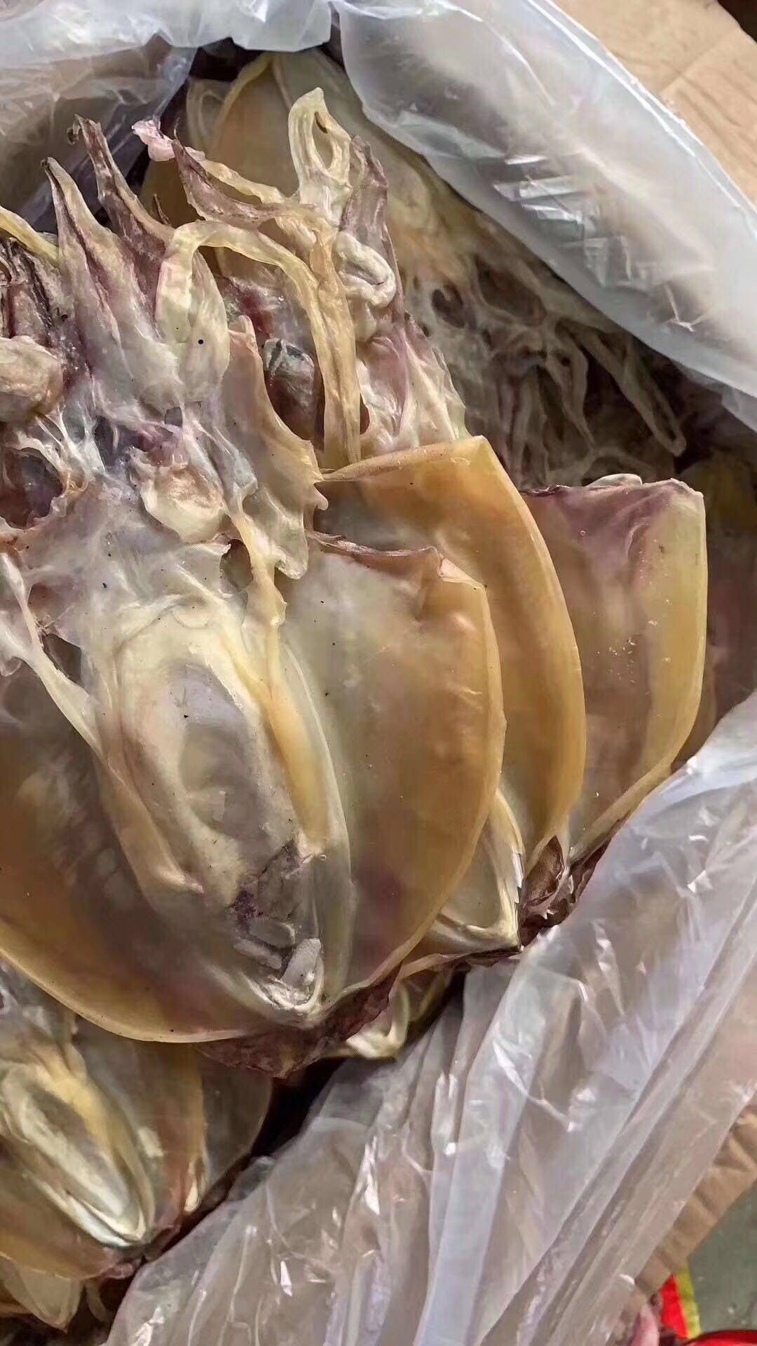 福建东山岛本港未加盐淡晒淡干野生中大墨鱼干乌贼干目鱼包邮500g