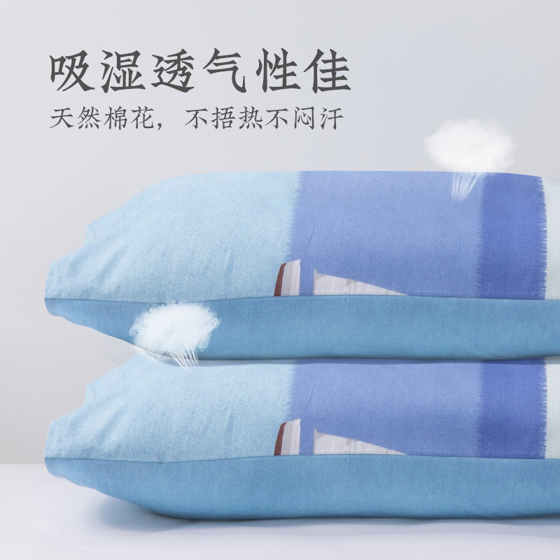 【29.9体验价限购1件】一对装单枕芯 远梦家居枕套