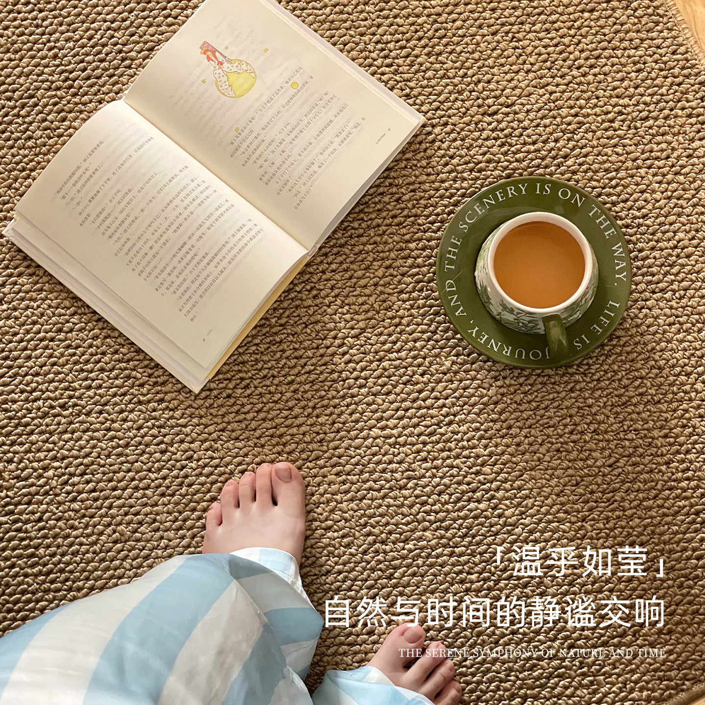 仿剑麻地毯客厅2025新款耐磨免洗侘寂风高级感中古大面积卧室地毯